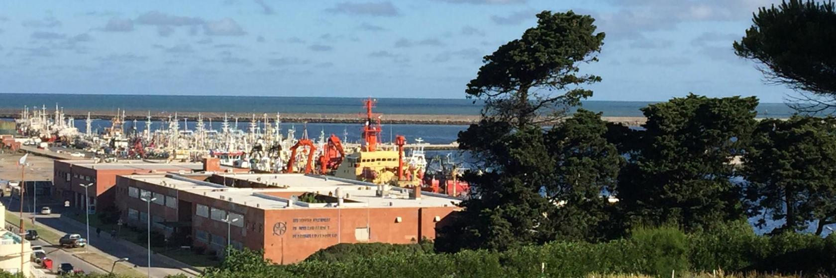 Puerto de Mar del Plata